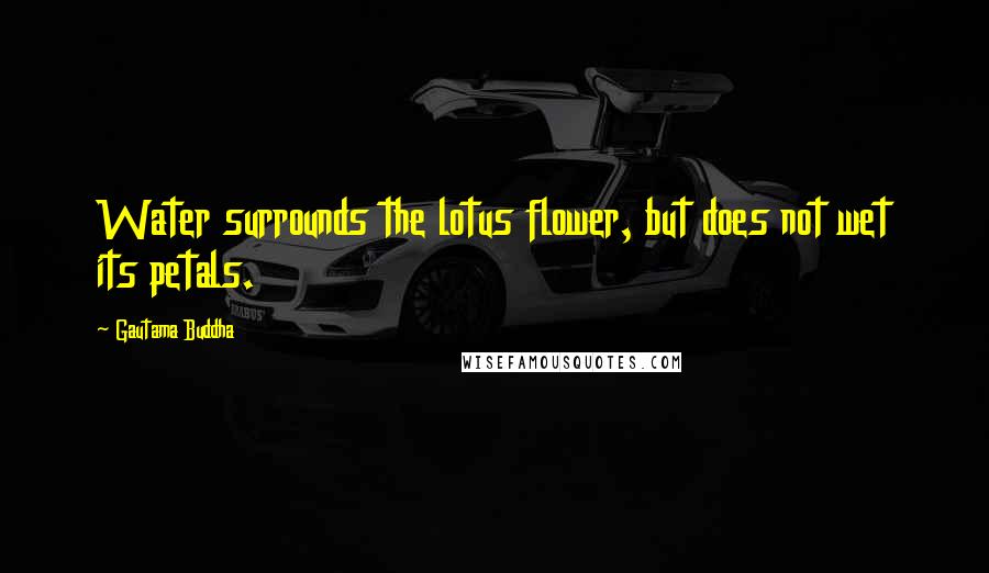 Gautama Buddha Quotes: Water surrounds the lotus flower, but does not wet its petals.