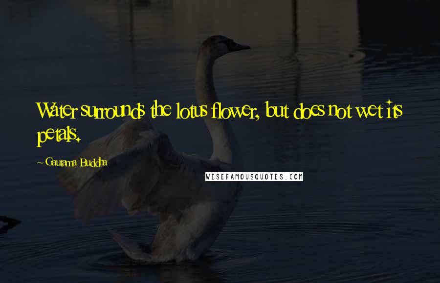 Gautama Buddha Quotes: Water surrounds the lotus flower, but does not wet its petals.