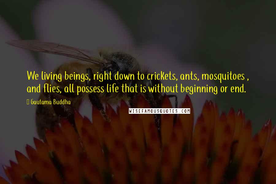 Gautama Buddha Quotes: We living beings, right down to crickets, ants, mosquitoes , and flies, all possess life that is without beginning or end.