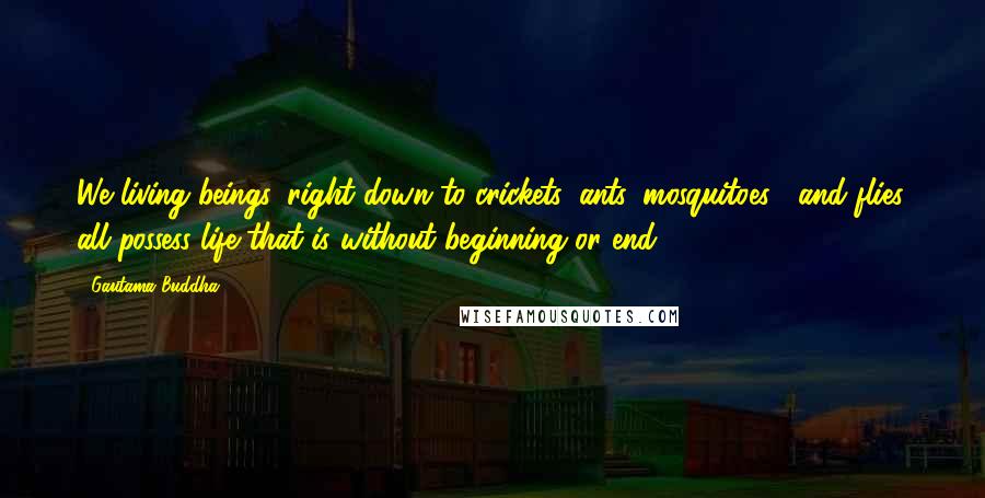 Gautama Buddha Quotes: We living beings, right down to crickets, ants, mosquitoes , and flies, all possess life that is without beginning or end.