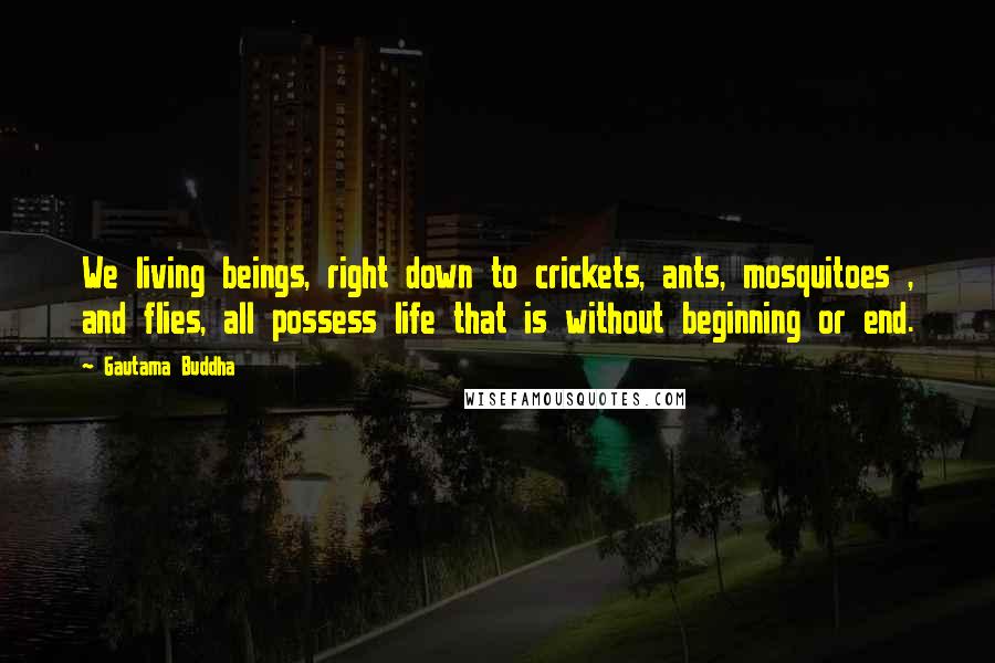 Gautama Buddha Quotes: We living beings, right down to crickets, ants, mosquitoes , and flies, all possess life that is without beginning or end.