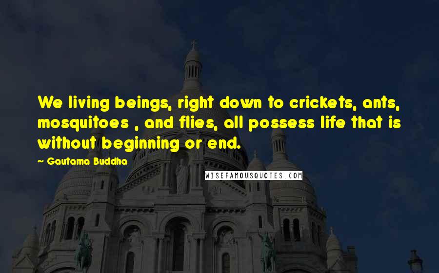 Gautama Buddha Quotes: We living beings, right down to crickets, ants, mosquitoes , and flies, all possess life that is without beginning or end.