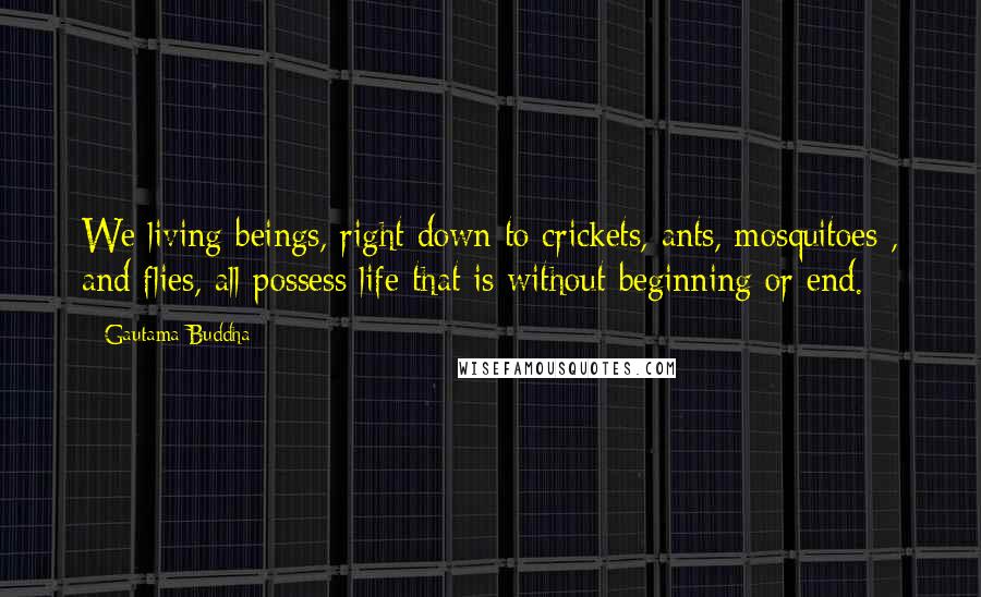 Gautama Buddha Quotes: We living beings, right down to crickets, ants, mosquitoes , and flies, all possess life that is without beginning or end.