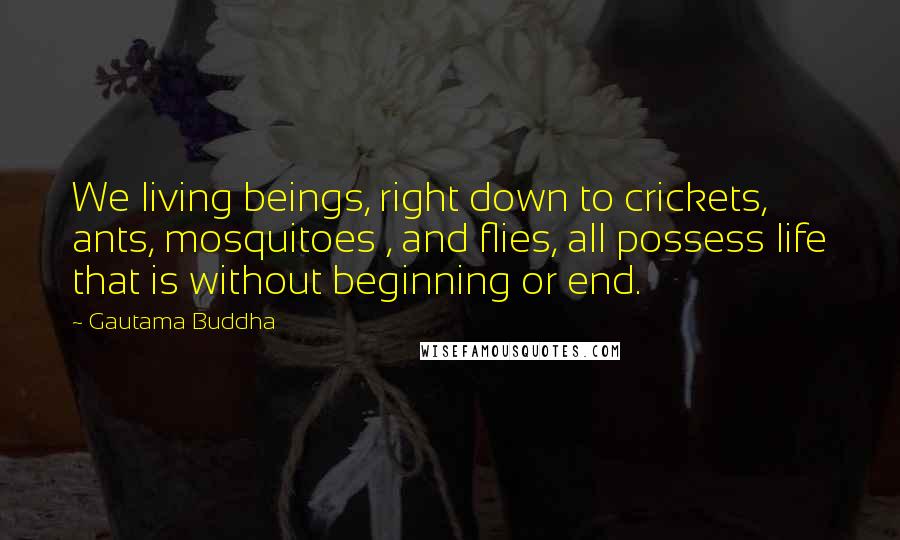 Gautama Buddha Quotes: We living beings, right down to crickets, ants, mosquitoes , and flies, all possess life that is without beginning or end.