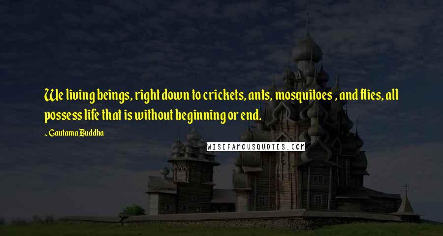 Gautama Buddha Quotes: We living beings, right down to crickets, ants, mosquitoes , and flies, all possess life that is without beginning or end.