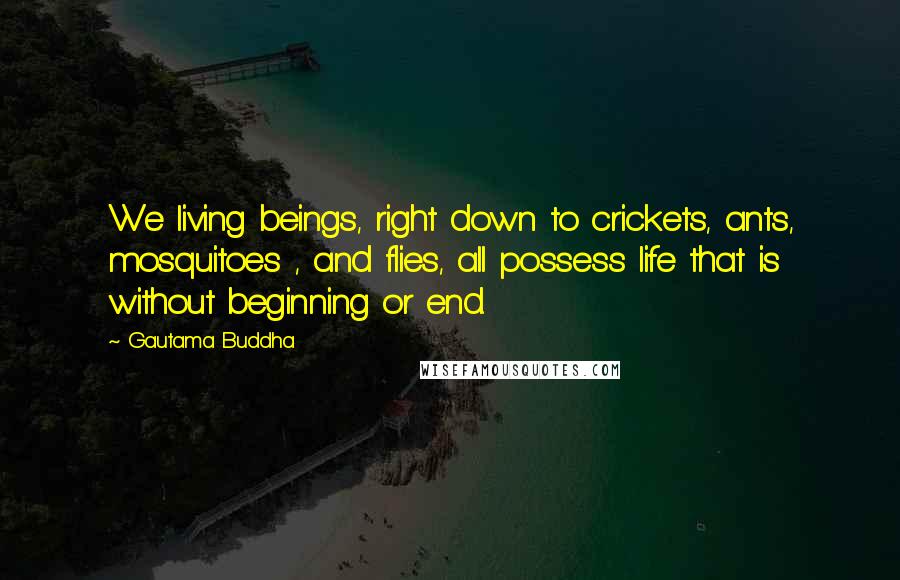 Gautama Buddha Quotes: We living beings, right down to crickets, ants, mosquitoes , and flies, all possess life that is without beginning or end.