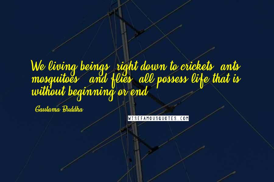 Gautama Buddha Quotes: We living beings, right down to crickets, ants, mosquitoes , and flies, all possess life that is without beginning or end.