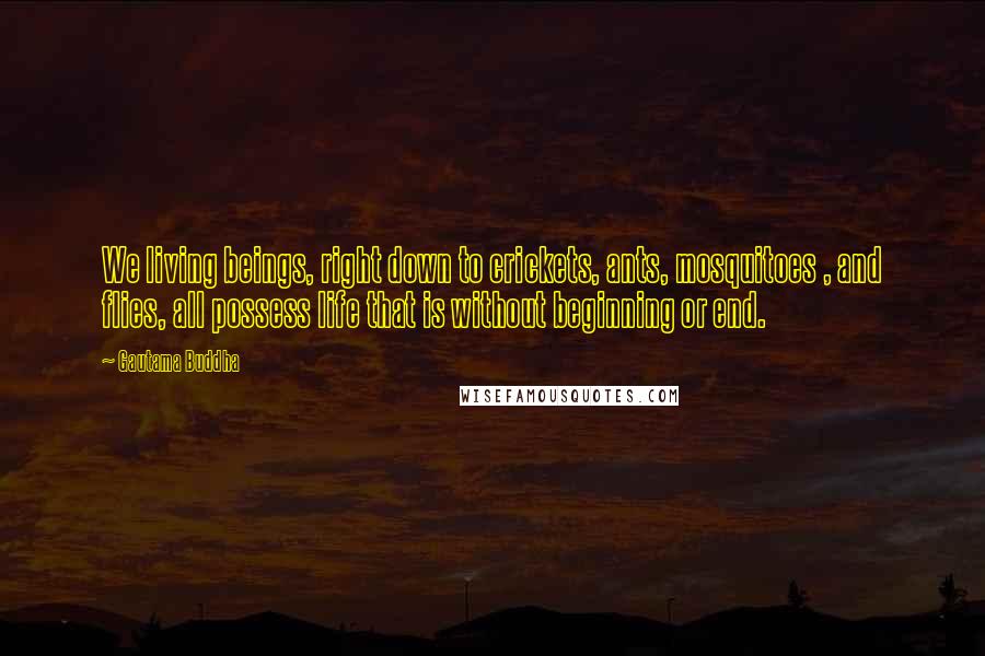 Gautama Buddha Quotes: We living beings, right down to crickets, ants, mosquitoes , and flies, all possess life that is without beginning or end.