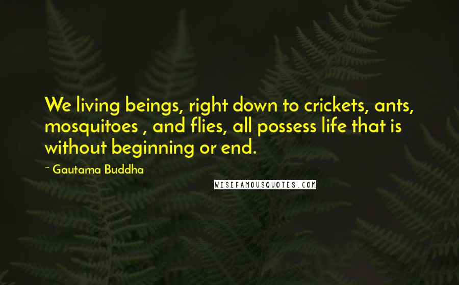 Gautama Buddha Quotes: We living beings, right down to crickets, ants, mosquitoes , and flies, all possess life that is without beginning or end.