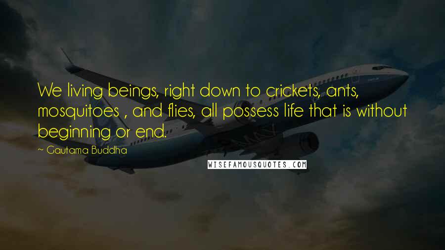 Gautama Buddha Quotes: We living beings, right down to crickets, ants, mosquitoes , and flies, all possess life that is without beginning or end.