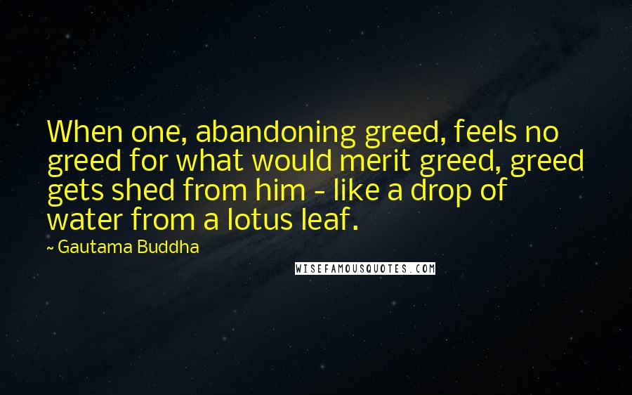 Gautama Buddha Quotes: When one, abandoning greed, feels no greed for what would merit greed, greed gets shed from him - like a drop of water from a lotus leaf.
