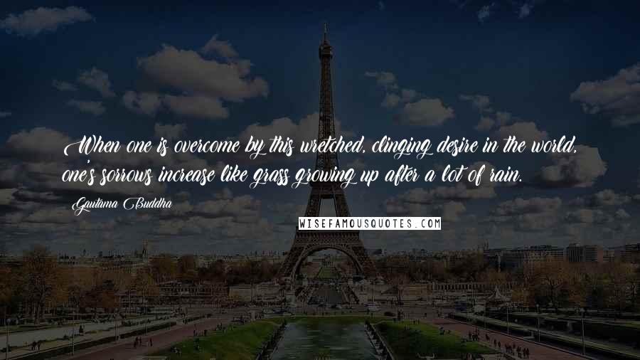 Gautama Buddha Quotes: When one is overcome by this wretched, clinging desire in the world, one's sorrows increase like grass growing up after a lot of rain.