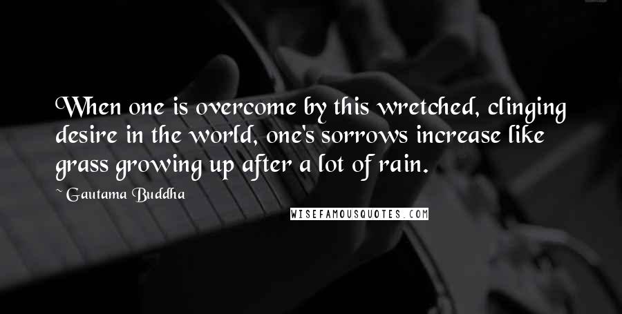 Gautama Buddha Quotes: When one is overcome by this wretched, clinging desire in the world, one's sorrows increase like grass growing up after a lot of rain.