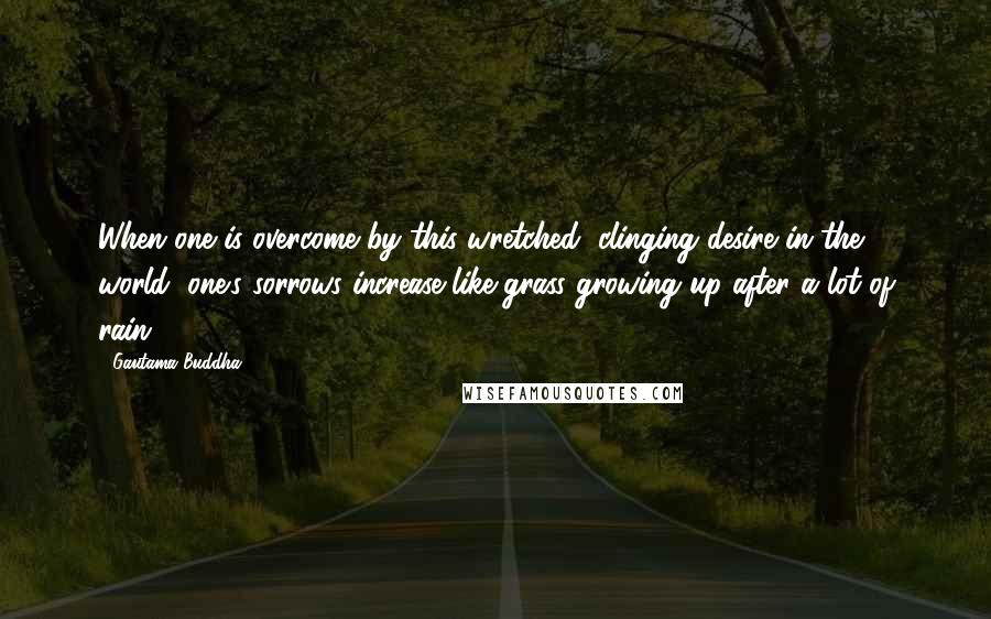 Gautama Buddha Quotes: When one is overcome by this wretched, clinging desire in the world, one's sorrows increase like grass growing up after a lot of rain.