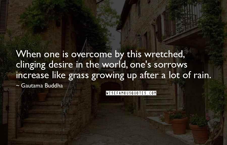 Gautama Buddha Quotes: When one is overcome by this wretched, clinging desire in the world, one's sorrows increase like grass growing up after a lot of rain.