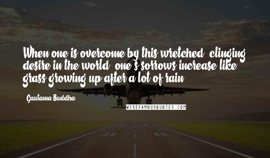 Gautama Buddha Quotes: When one is overcome by this wretched, clinging desire in the world, one's sorrows increase like grass growing up after a lot of rain.