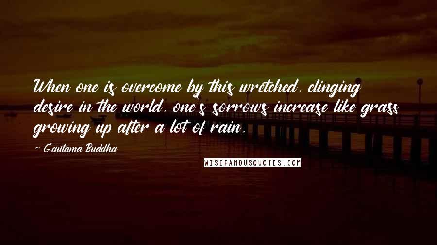 Gautama Buddha Quotes: When one is overcome by this wretched, clinging desire in the world, one's sorrows increase like grass growing up after a lot of rain.