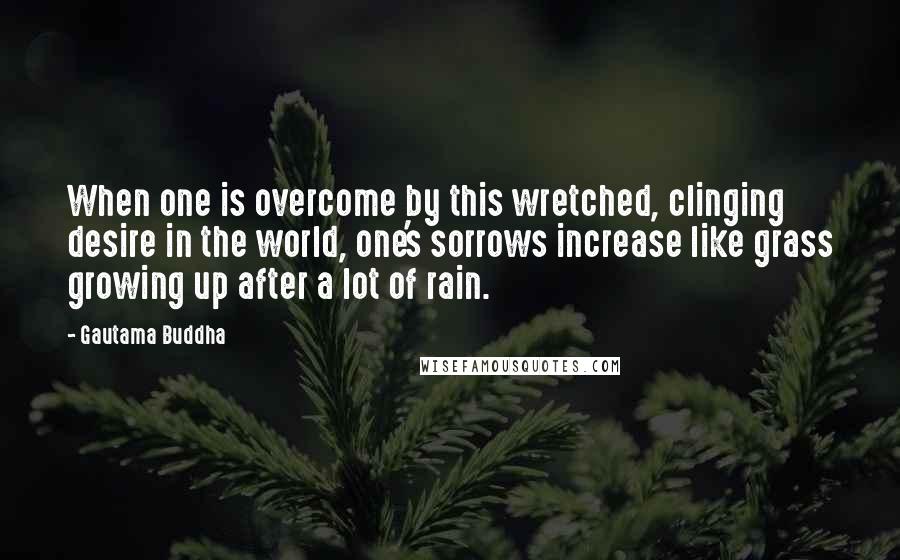 Gautama Buddha Quotes: When one is overcome by this wretched, clinging desire in the world, one's sorrows increase like grass growing up after a lot of rain.