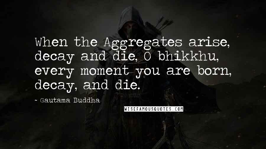 Gautama Buddha Quotes: When the Aggregates arise, decay and die, O bhikkhu, every moment you are born, decay, and die.