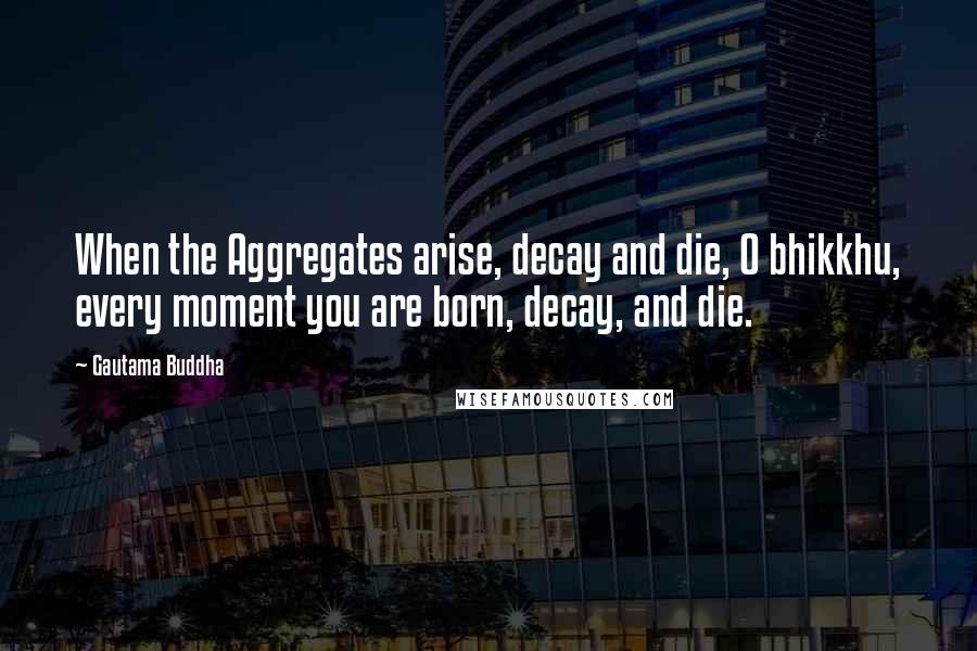 Gautama Buddha Quotes: When the Aggregates arise, decay and die, O bhikkhu, every moment you are born, decay, and die.