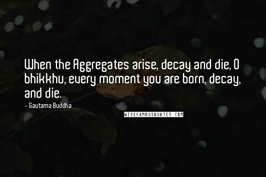 Gautama Buddha Quotes: When the Aggregates arise, decay and die, O bhikkhu, every moment you are born, decay, and die.