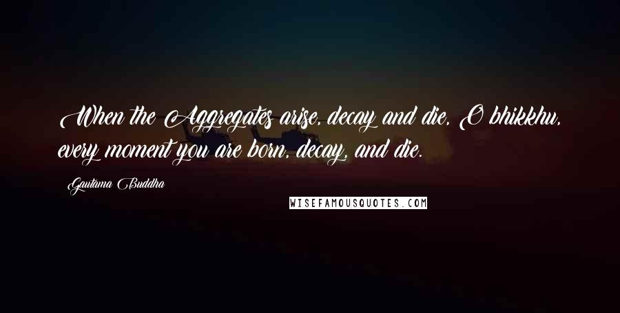 Gautama Buddha Quotes: When the Aggregates arise, decay and die, O bhikkhu, every moment you are born, decay, and die.