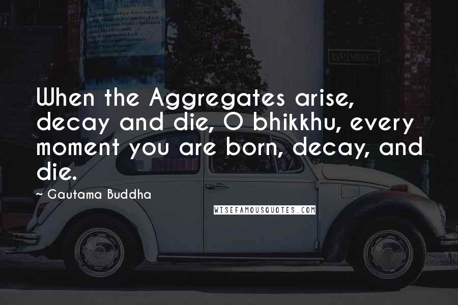 Gautama Buddha Quotes: When the Aggregates arise, decay and die, O bhikkhu, every moment you are born, decay, and die.