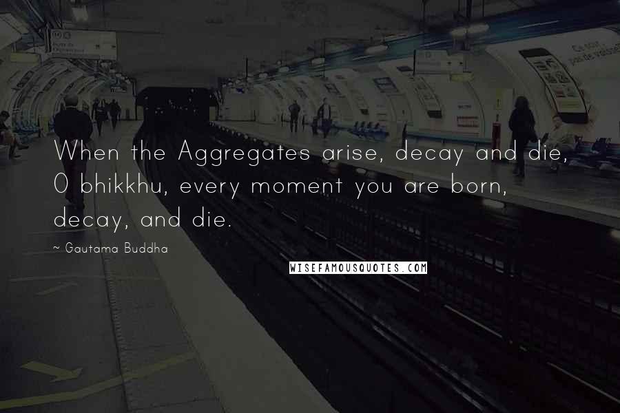 Gautama Buddha Quotes: When the Aggregates arise, decay and die, O bhikkhu, every moment you are born, decay, and die.