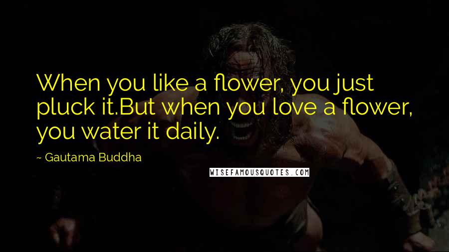 Gautama Buddha Quotes: When you like a flower, you just pluck it.But when you love a flower, you water it daily.