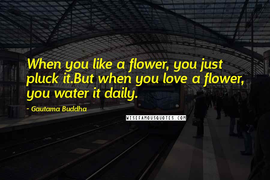 Gautama Buddha Quotes: When you like a flower, you just pluck it.But when you love a flower, you water it daily.