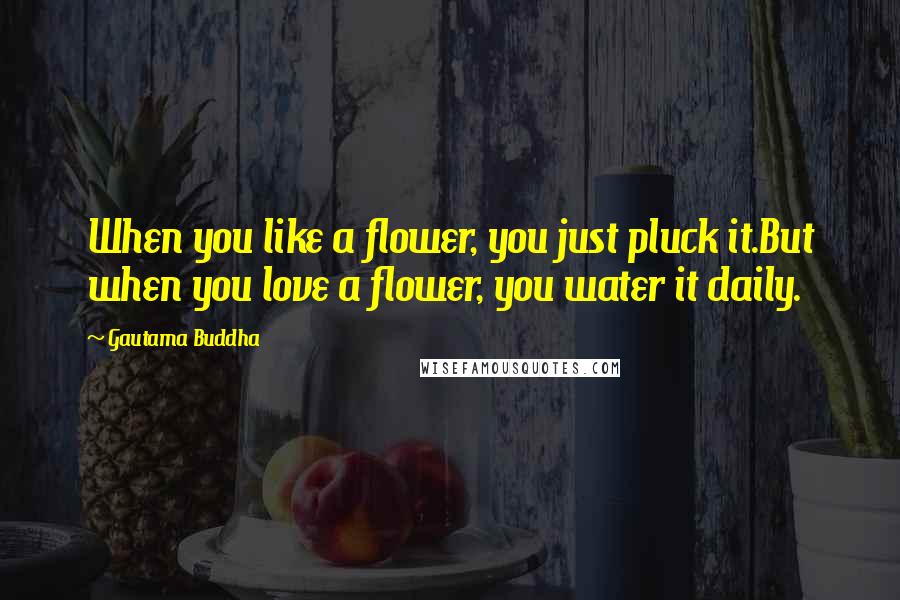 Gautama Buddha Quotes: When you like a flower, you just pluck it.But when you love a flower, you water it daily.