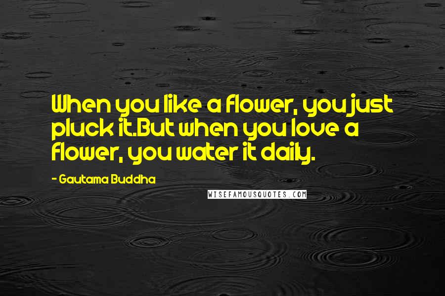 Gautama Buddha Quotes: When you like a flower, you just pluck it.But when you love a flower, you water it daily.