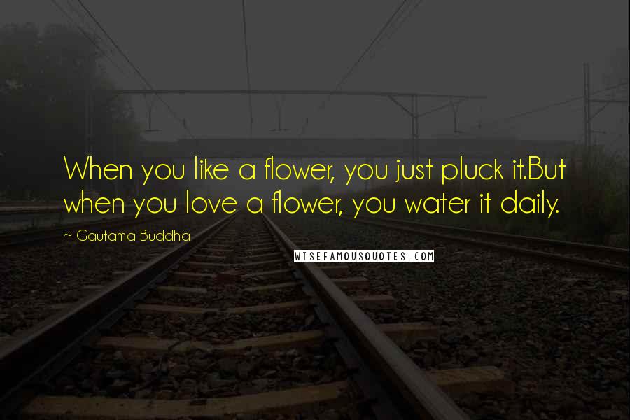 Gautama Buddha Quotes: When you like a flower, you just pluck it.But when you love a flower, you water it daily.