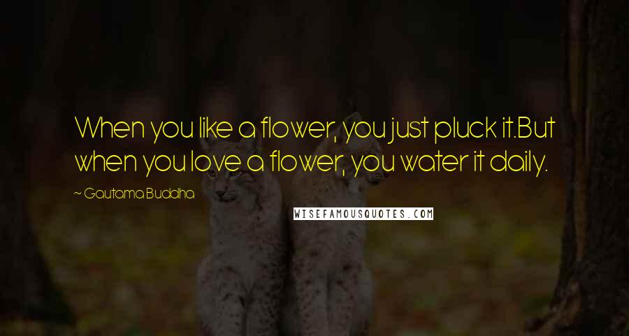 Gautama Buddha Quotes: When you like a flower, you just pluck it.But when you love a flower, you water it daily.