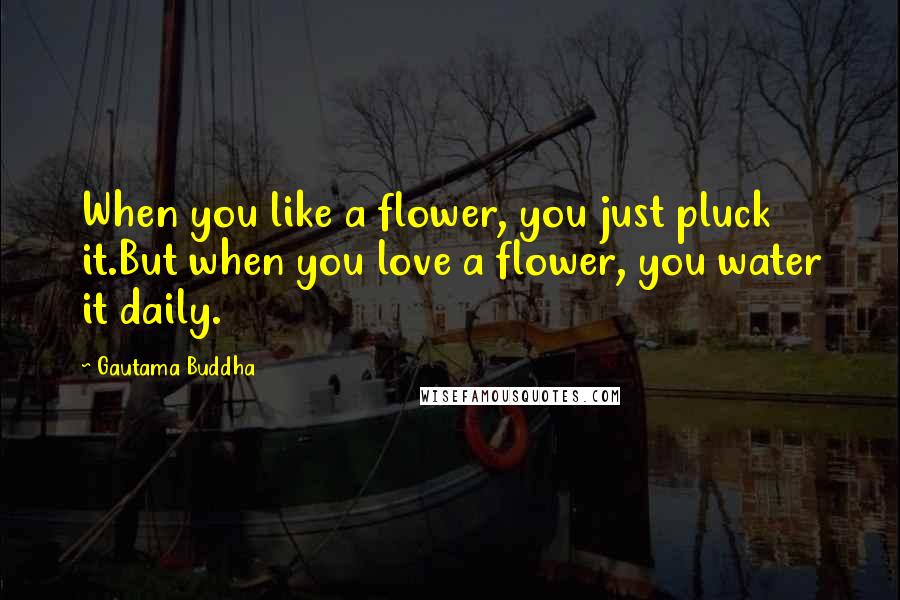 Gautama Buddha Quotes: When you like a flower, you just pluck it.But when you love a flower, you water it daily.