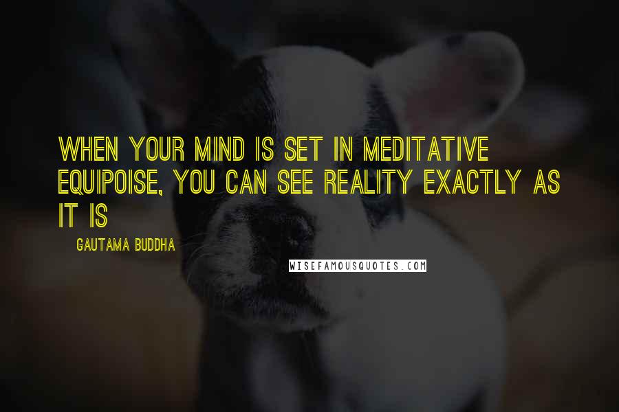 Gautama Buddha Quotes: When your mind is set in meditative equipoise, you can see reality exactly as it is