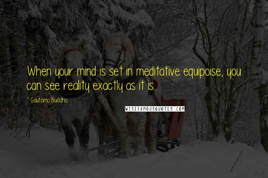 Gautama Buddha Quotes: When your mind is set in meditative equipoise, you can see reality exactly as it is
