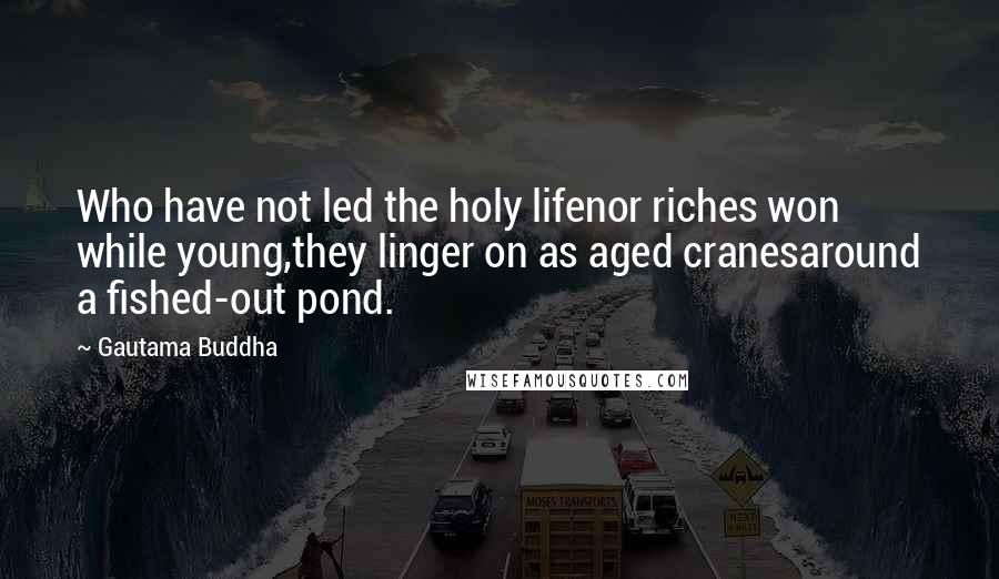 Gautama Buddha Quotes: Who have not led the holy lifenor riches won while young,they linger on as aged cranesaround a fished-out pond.