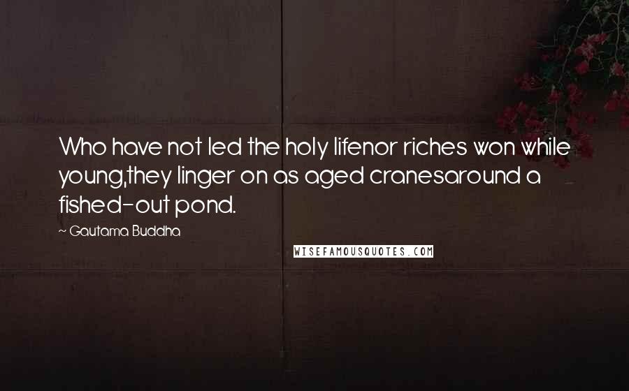 Gautama Buddha Quotes: Who have not led the holy lifenor riches won while young,they linger on as aged cranesaround a fished-out pond.