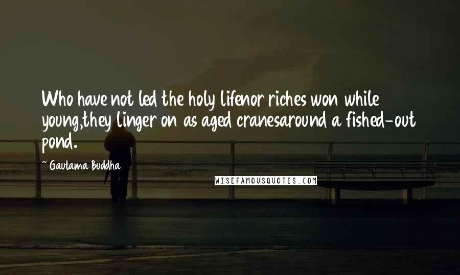 Gautama Buddha Quotes: Who have not led the holy lifenor riches won while young,they linger on as aged cranesaround a fished-out pond.