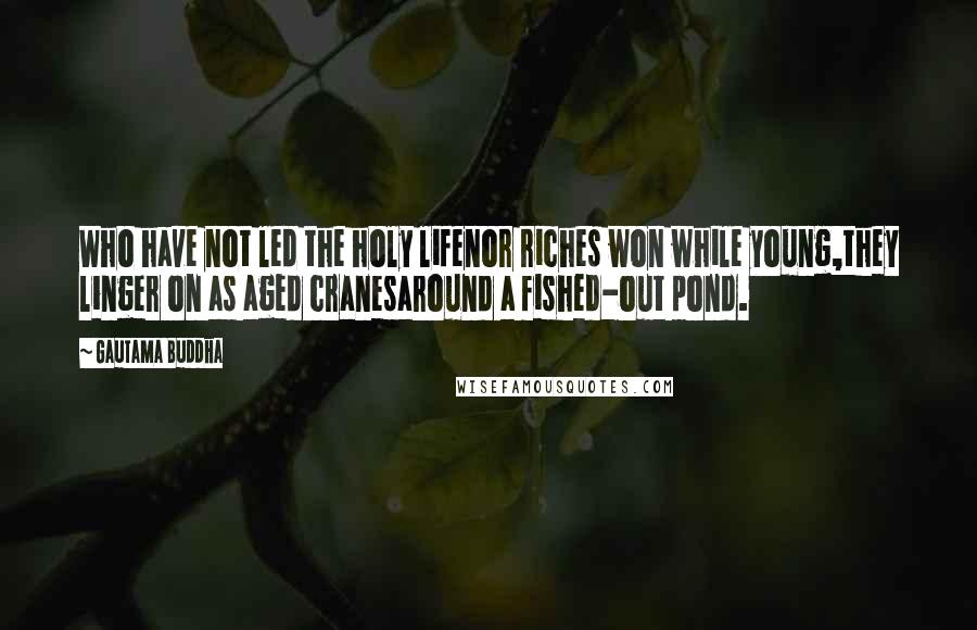 Gautama Buddha Quotes: Who have not led the holy lifenor riches won while young,they linger on as aged cranesaround a fished-out pond.