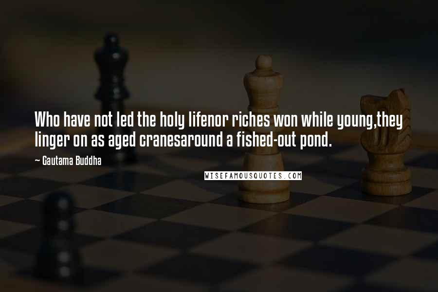 Gautama Buddha Quotes: Who have not led the holy lifenor riches won while young,they linger on as aged cranesaround a fished-out pond.