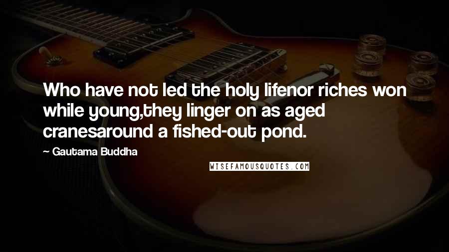 Gautama Buddha Quotes: Who have not led the holy lifenor riches won while young,they linger on as aged cranesaround a fished-out pond.