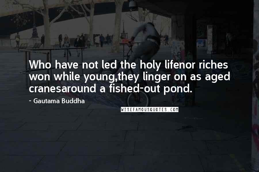 Gautama Buddha Quotes: Who have not led the holy lifenor riches won while young,they linger on as aged cranesaround a fished-out pond.