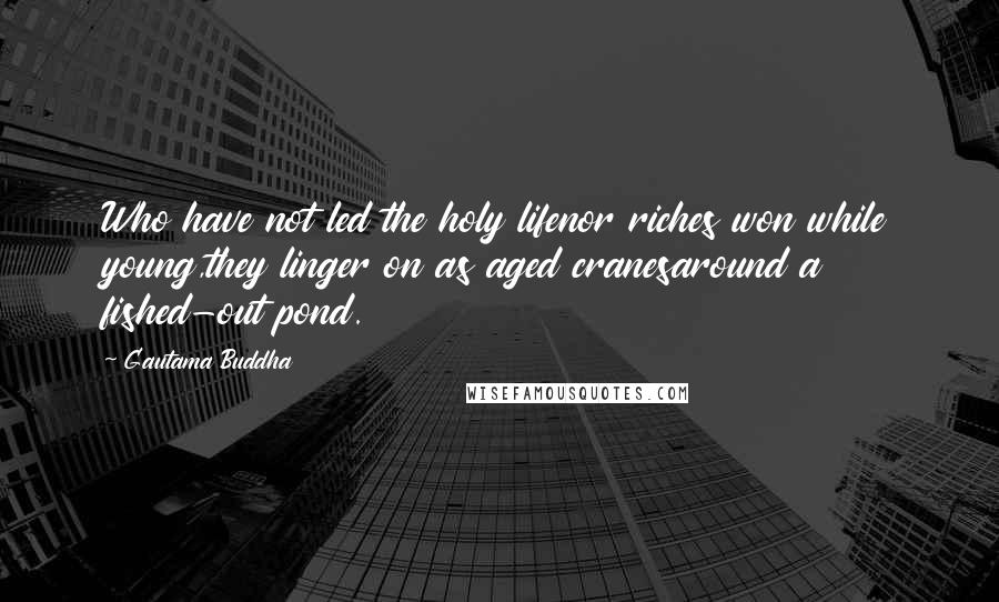 Gautama Buddha Quotes: Who have not led the holy lifenor riches won while young,they linger on as aged cranesaround a fished-out pond.
