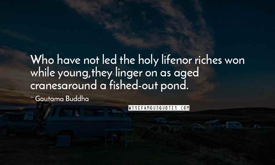 Gautama Buddha Quotes: Who have not led the holy lifenor riches won while young,they linger on as aged cranesaround a fished-out pond.
