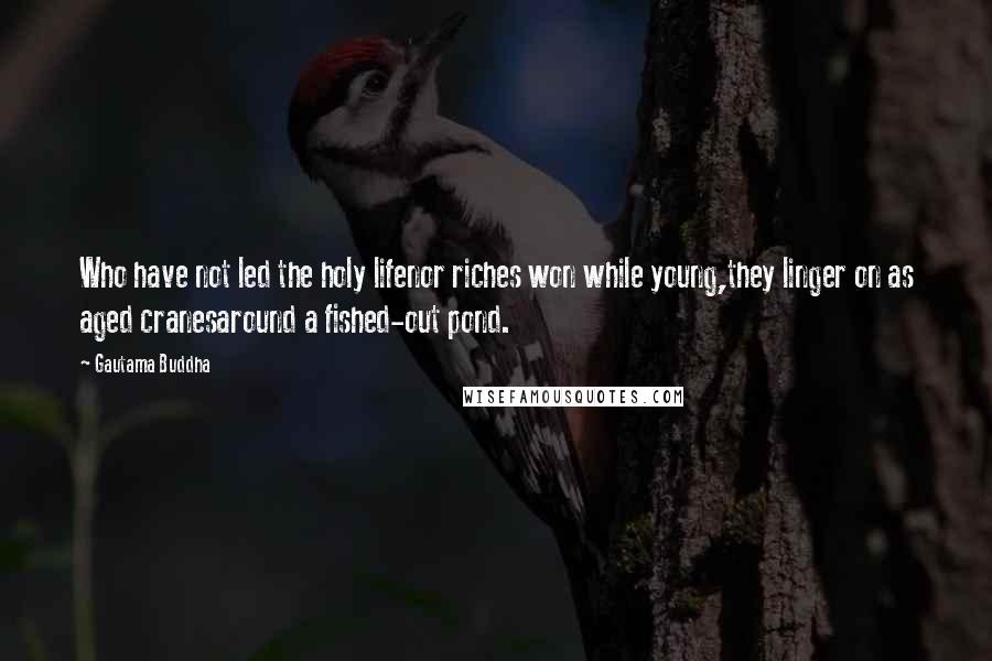 Gautama Buddha Quotes: Who have not led the holy lifenor riches won while young,they linger on as aged cranesaround a fished-out pond.