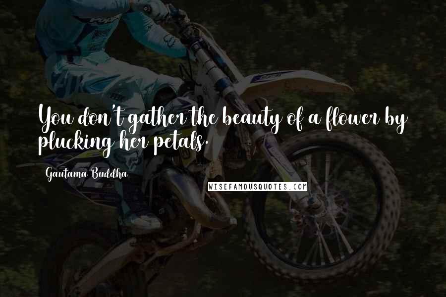 Gautama Buddha Quotes: You don't gather the beauty of a flower by plucking her petals.
