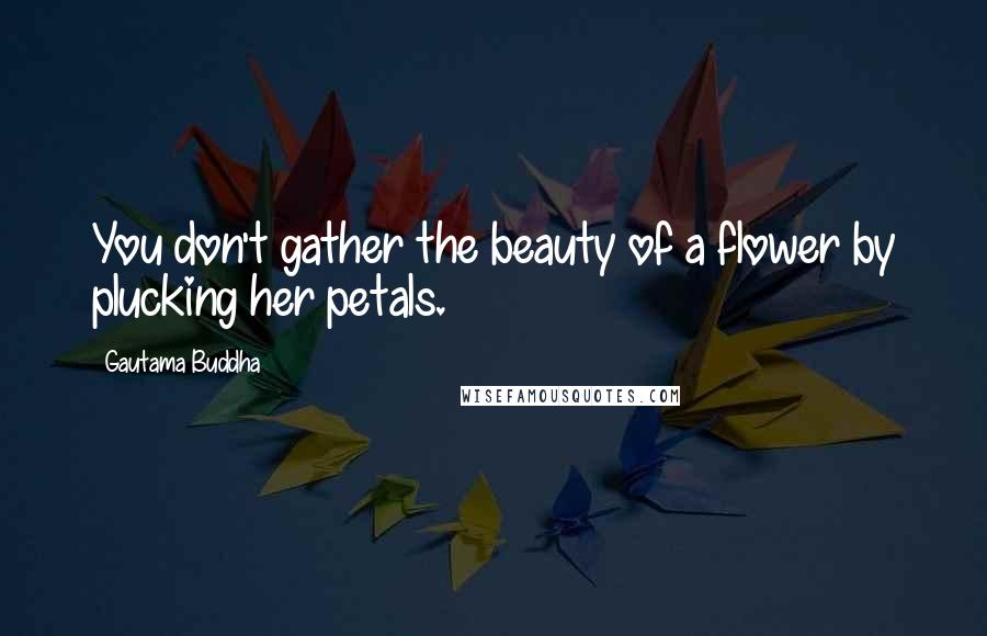 Gautama Buddha Quotes: You don't gather the beauty of a flower by plucking her petals.