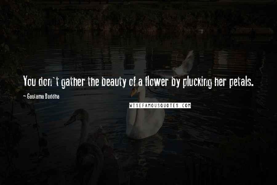 Gautama Buddha Quotes: You don't gather the beauty of a flower by plucking her petals.